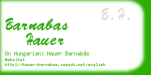 barnabas hauer business card