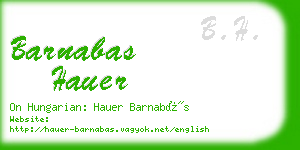 barnabas hauer business card